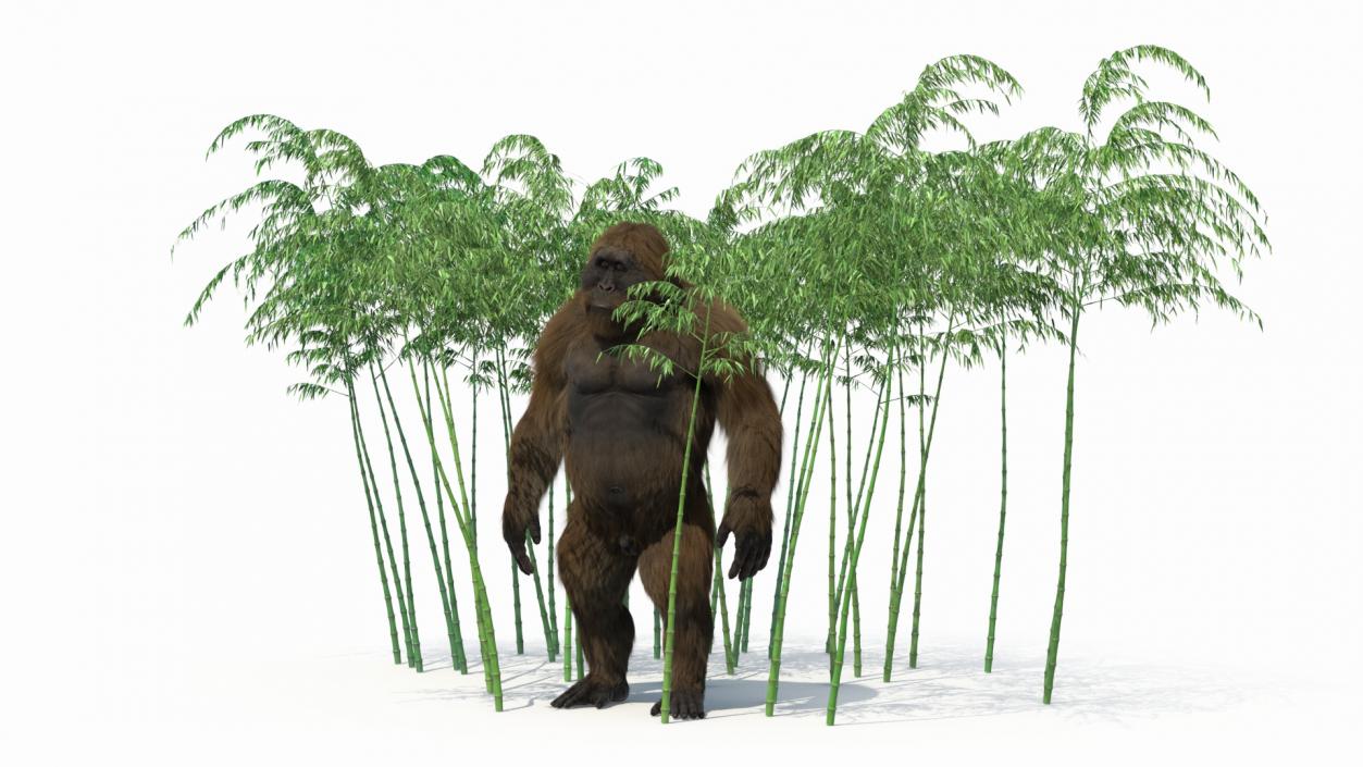 3D Big Ape Gigantopithecus in Bamboo Grove Fur model