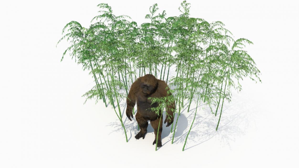 3D Big Ape Gigantopithecus in Bamboo Grove Fur model