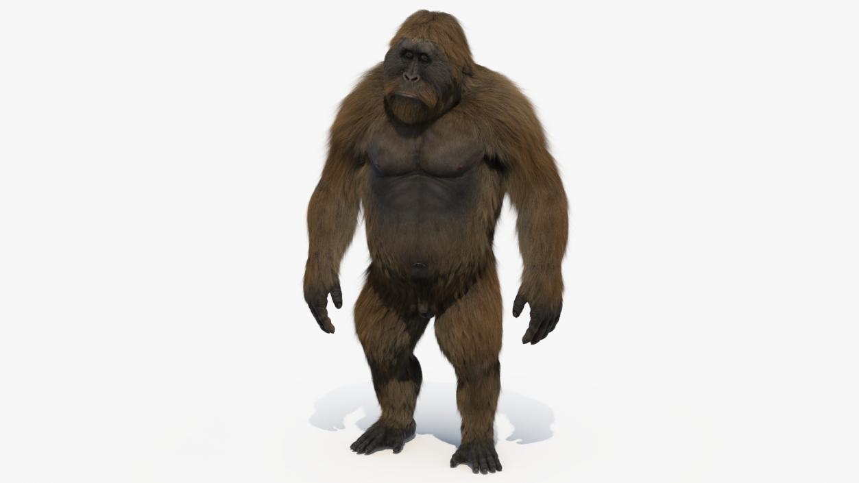 3D Big Ape Gigantopithecus in Bamboo Grove Fur model