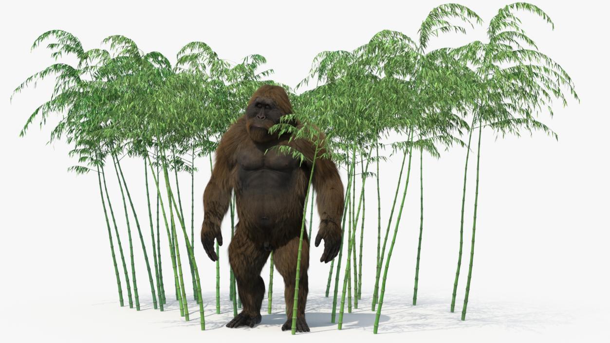 3D Big Ape Gigantopithecus in Bamboo Grove Fur model