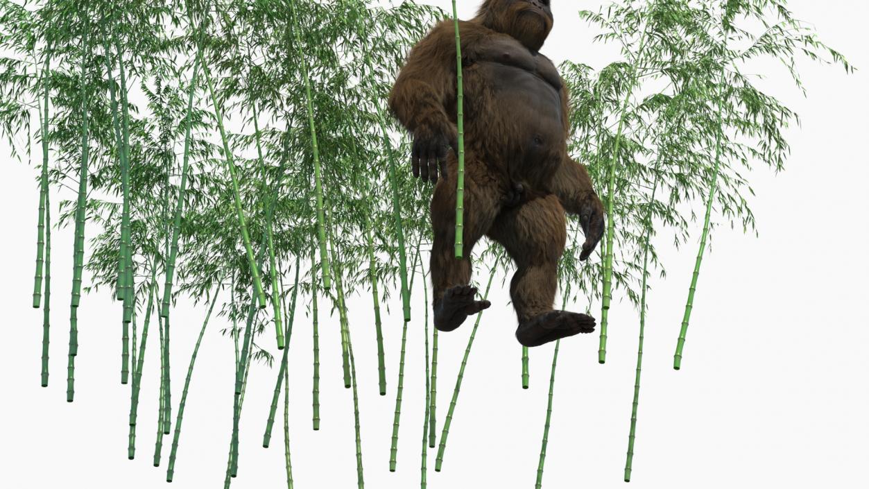 3D Big Ape Gigantopithecus in Bamboo Grove Fur model