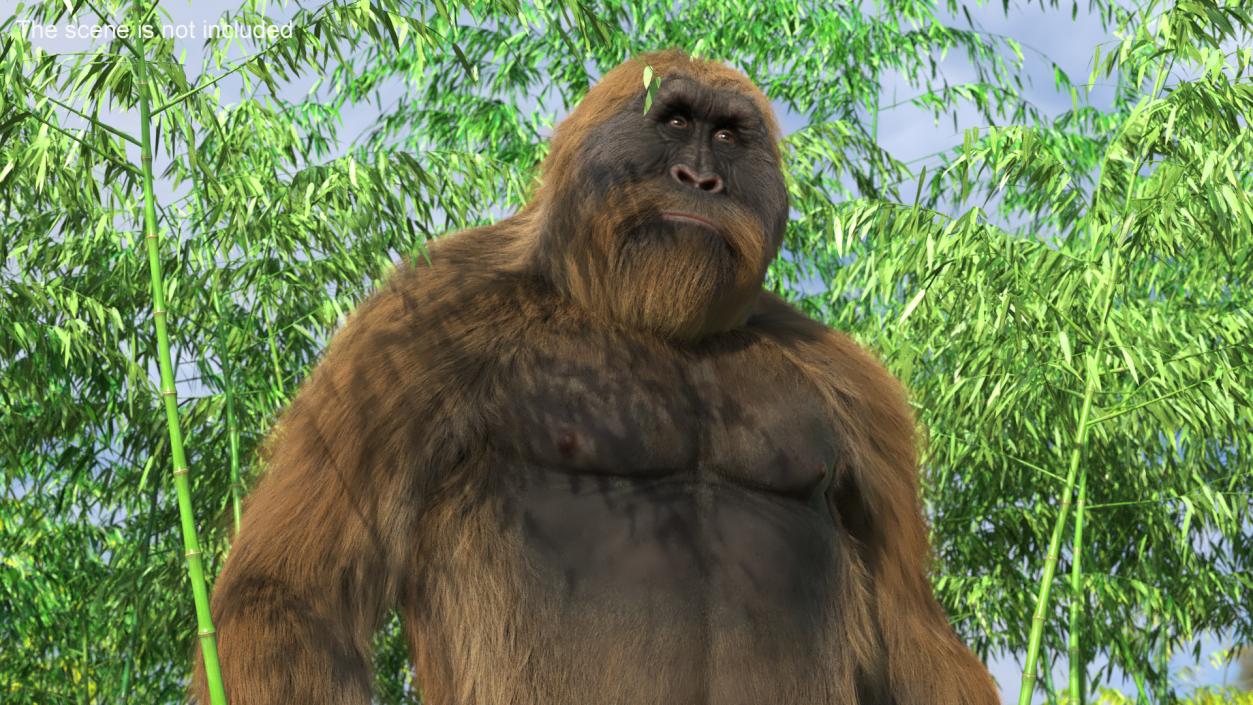 3D Big Ape Gigantopithecus in Bamboo Grove Fur model