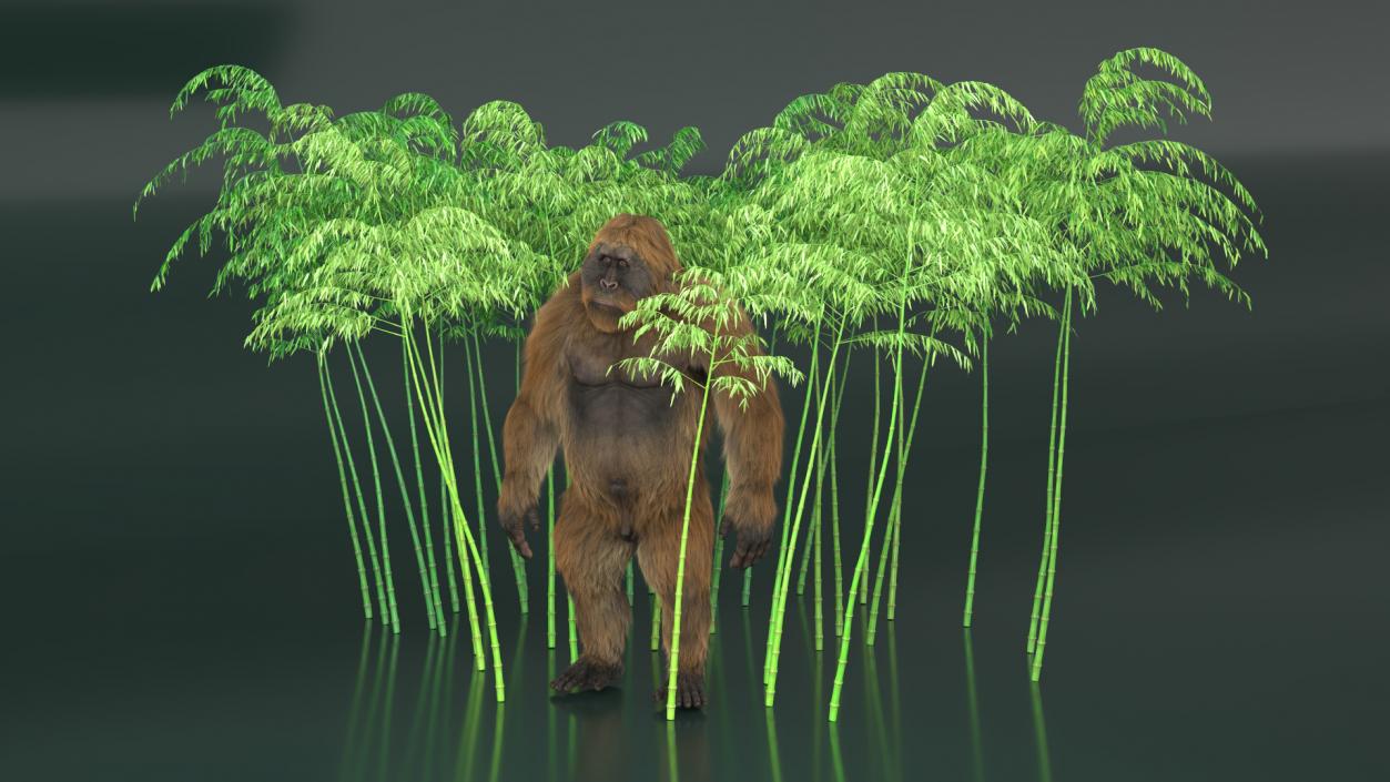 3D Big Ape Gigantopithecus in Bamboo Grove Fur model