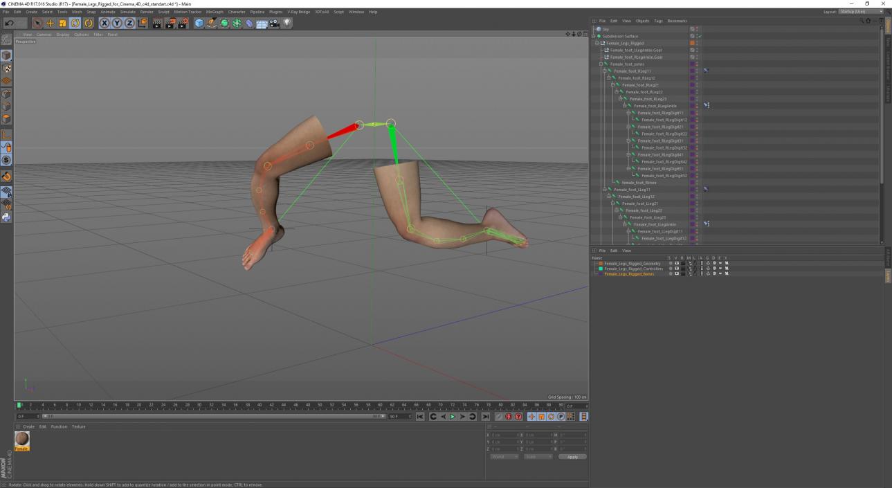 Female Legs Rigged for Cinema 4D 3D