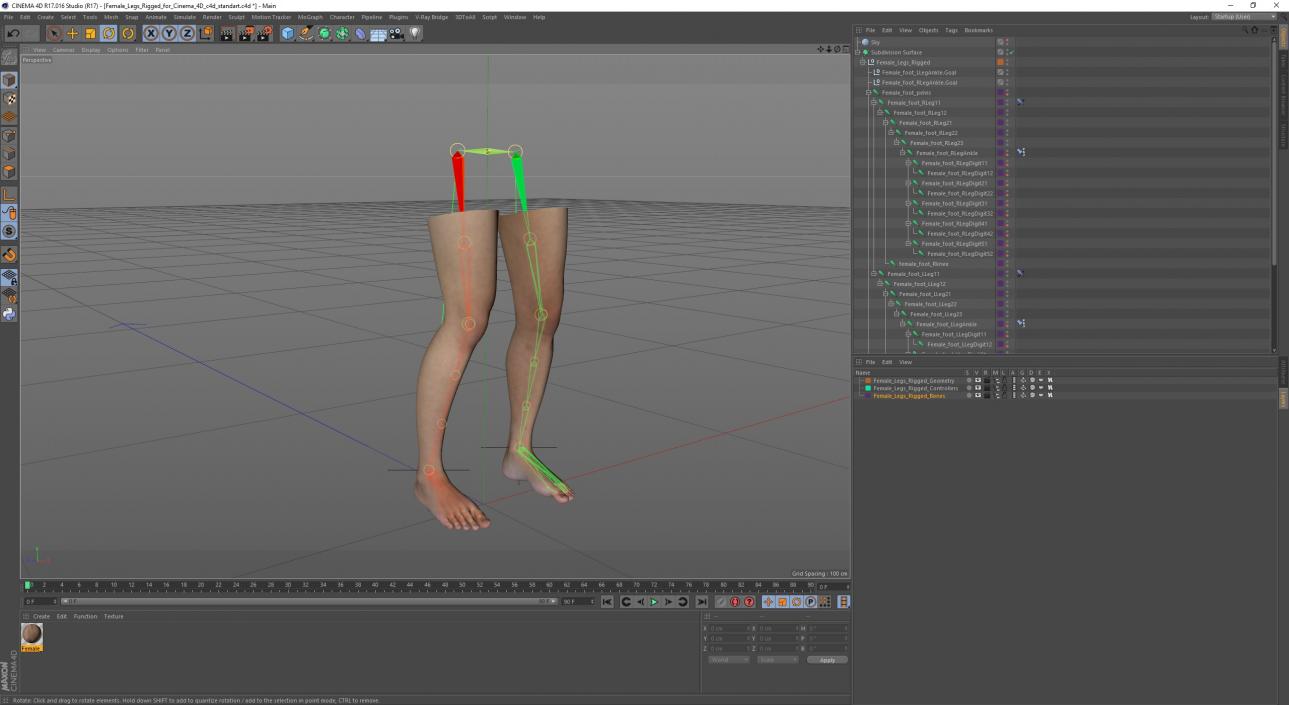 Female Legs Rigged for Cinema 4D 3D