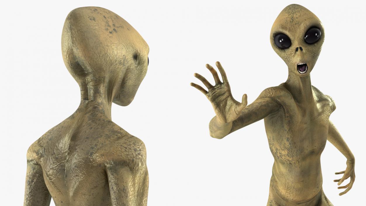 Humanoid Alien Creature Rigged for Maya 3D model