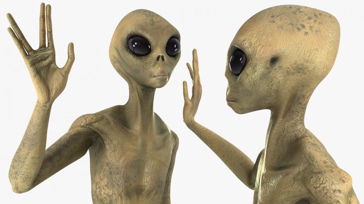 Humanoid Alien Creature Rigged for Maya 3D model