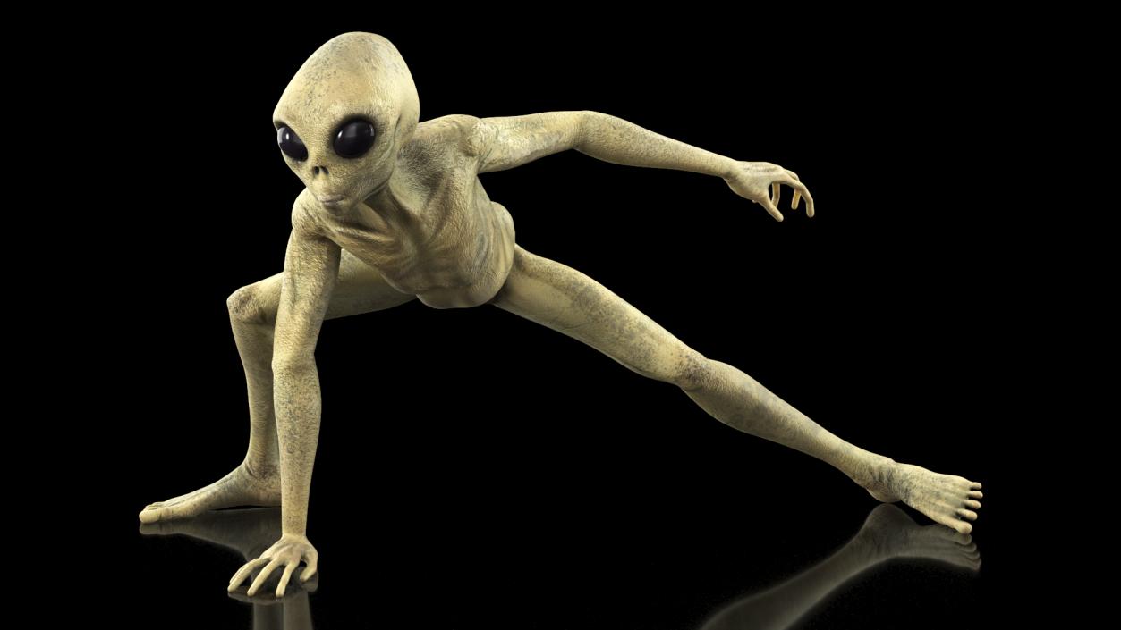 Humanoid Alien Creature Rigged for Maya 3D model