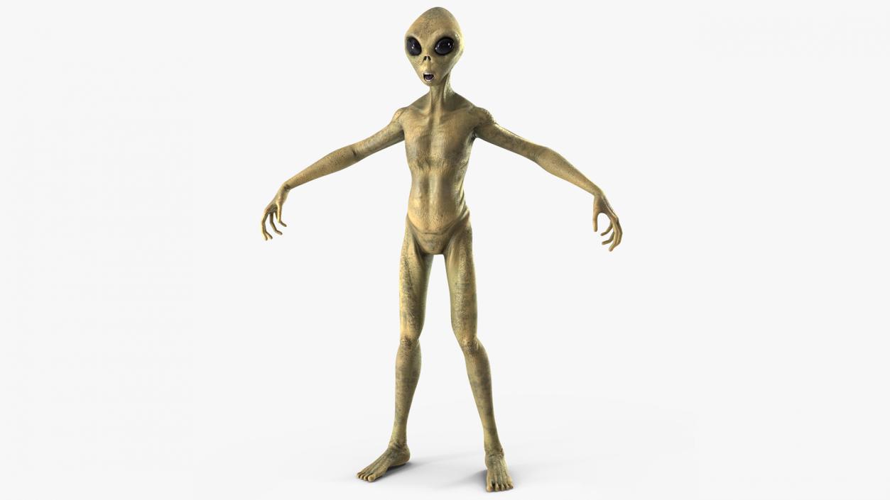 Humanoid Alien Creature Rigged for Maya 3D model