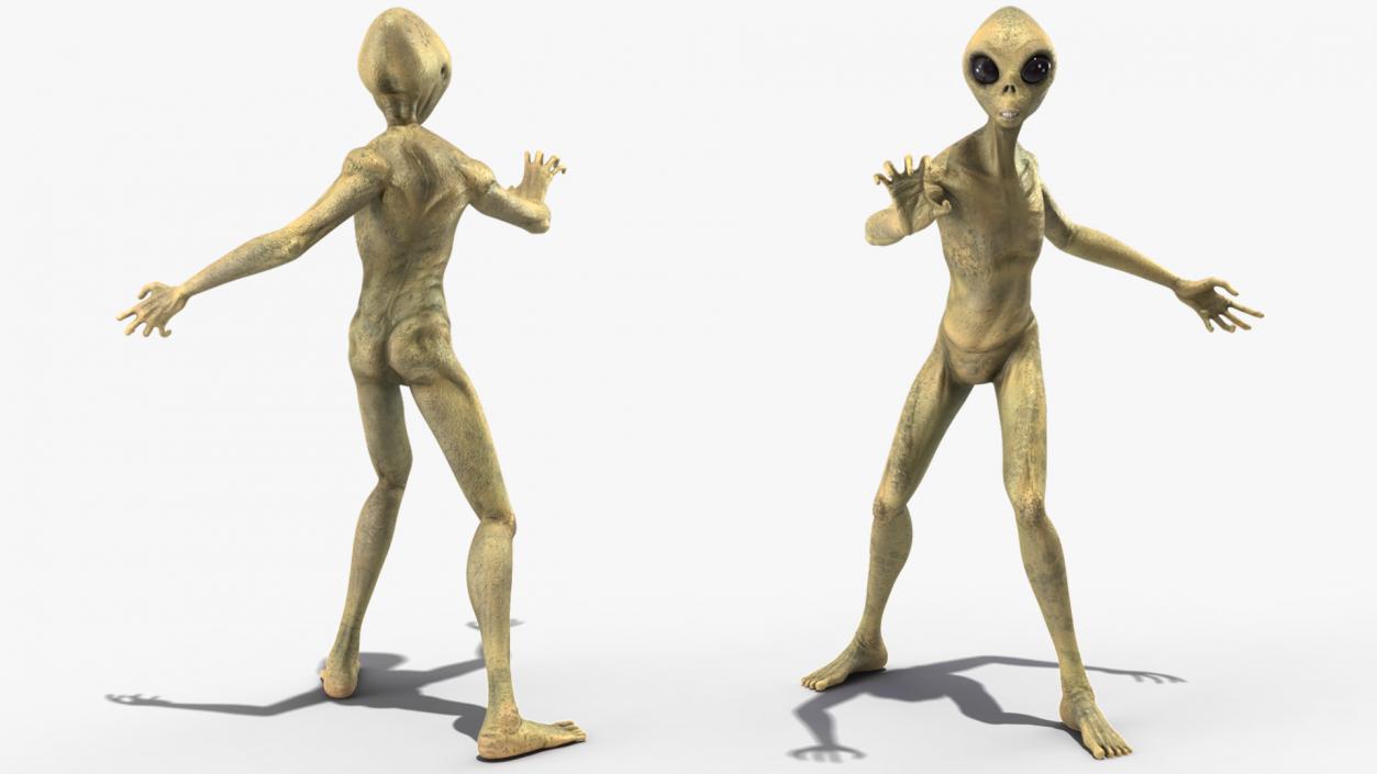 Humanoid Alien Creature Rigged for Maya 3D model