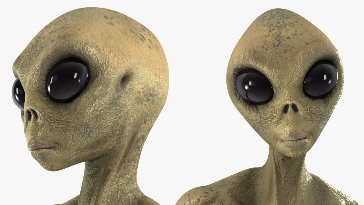 Humanoid Alien Creature Rigged for Maya 3D model