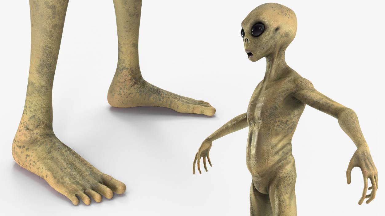 Humanoid Alien Creature Rigged for Maya 3D model