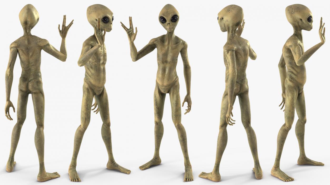 Humanoid Alien Creature Rigged for Maya 3D model