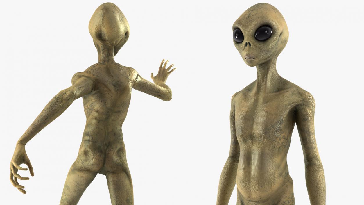 Humanoid Alien Creature Rigged for Maya 3D model