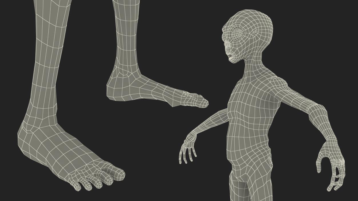 Humanoid Alien Creature Rigged for Maya 3D model