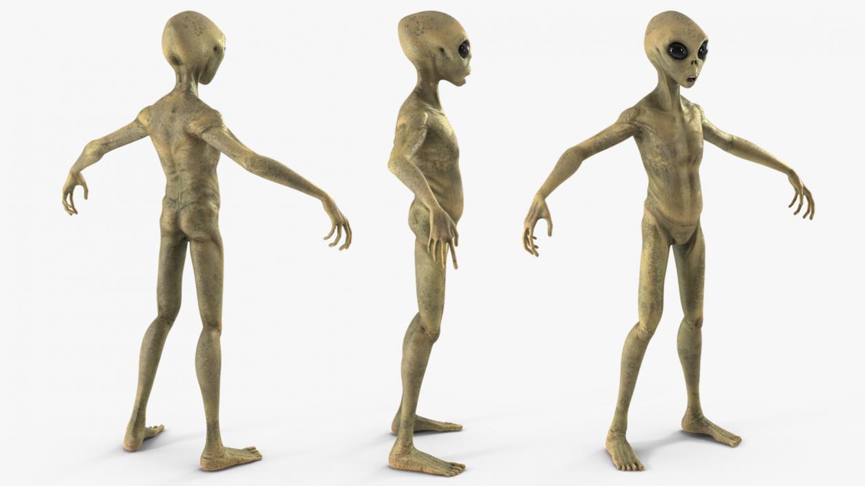 Humanoid Alien Creature Rigged for Maya 3D model