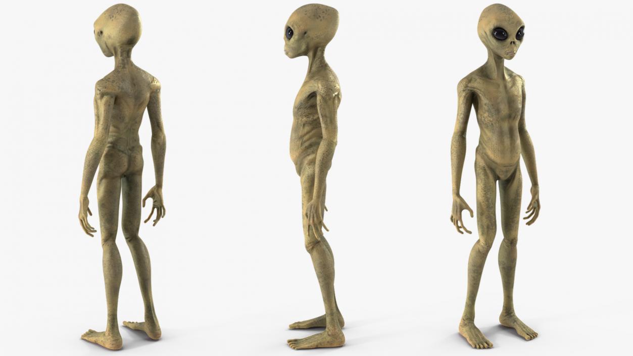 Humanoid Alien Creature Rigged for Maya 3D model