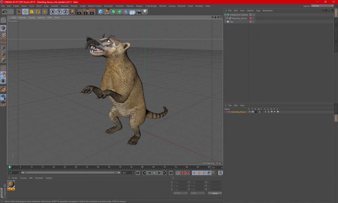 Standing Nasua 3D model