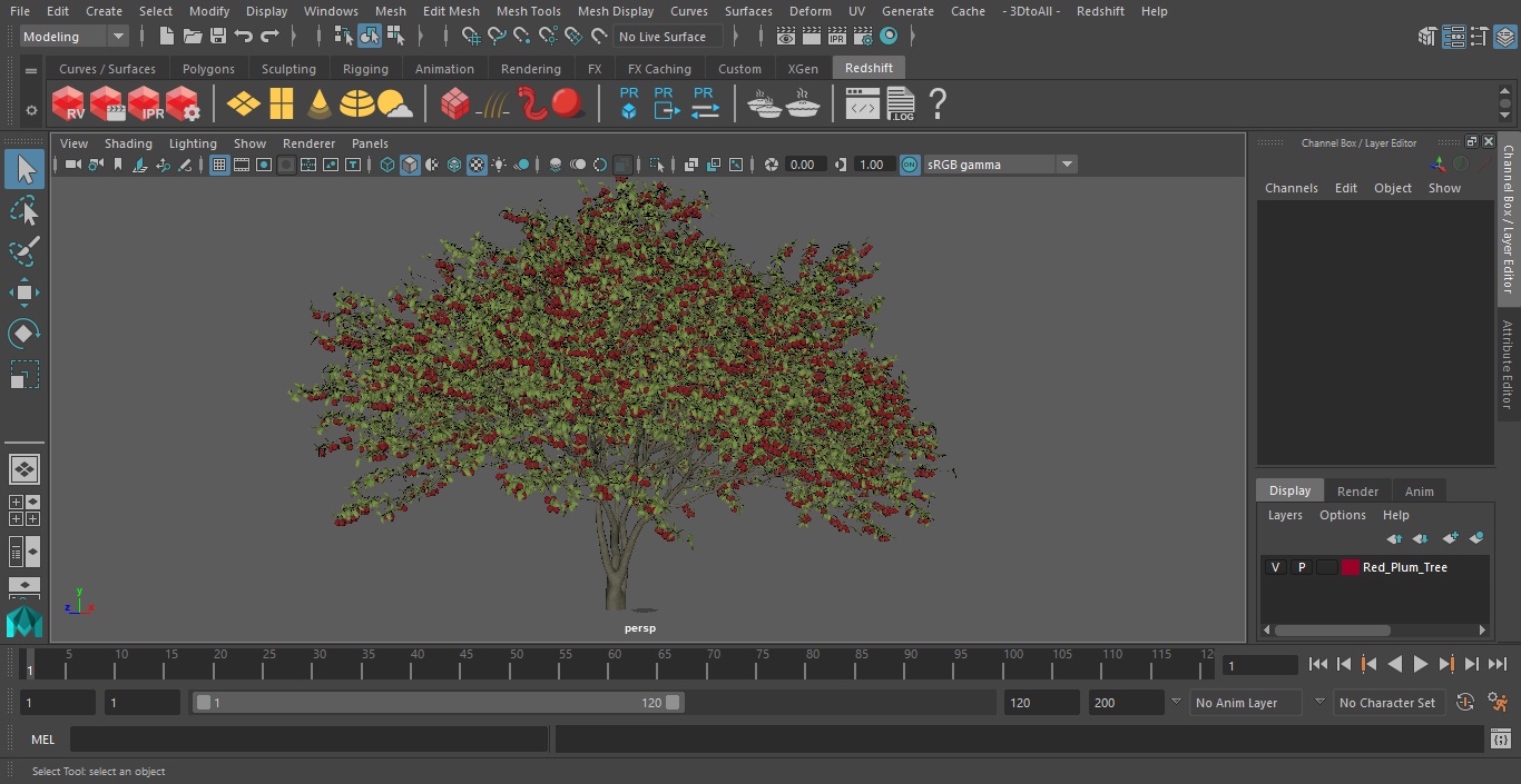 3D Red Plum Tree model