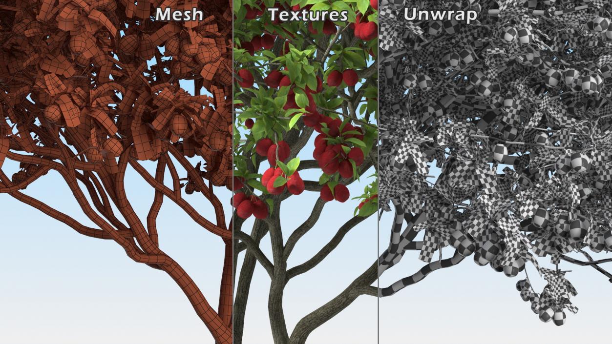 3D Red Plum Tree model