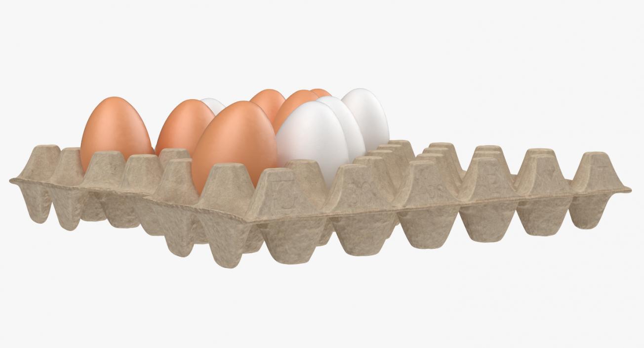 3D model Carton 30 Cells Cardboard with Eggs