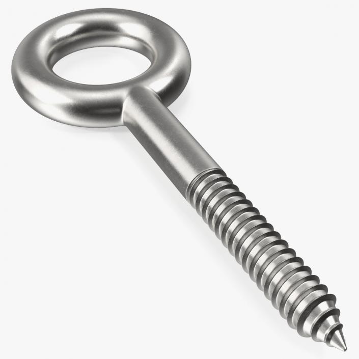 3D model Eye Lag Screw 2