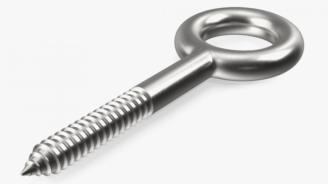 3D model Eye Lag Screw 2