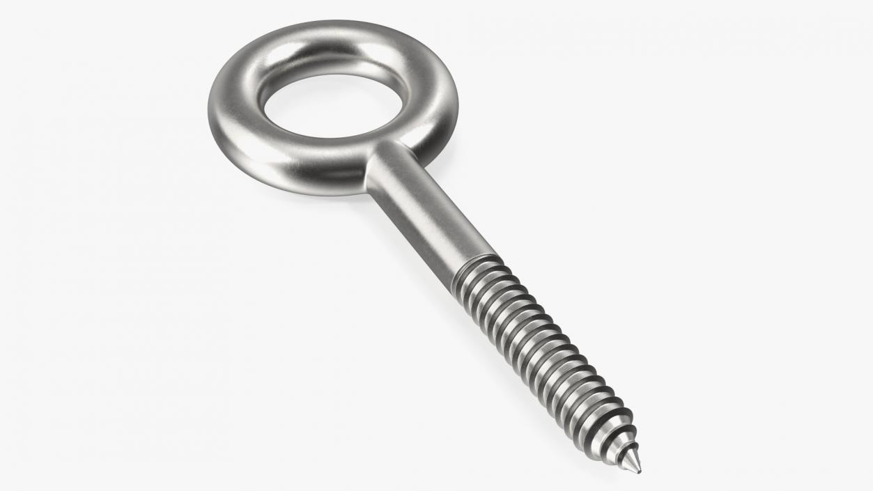 3D model Eye Lag Screw 2