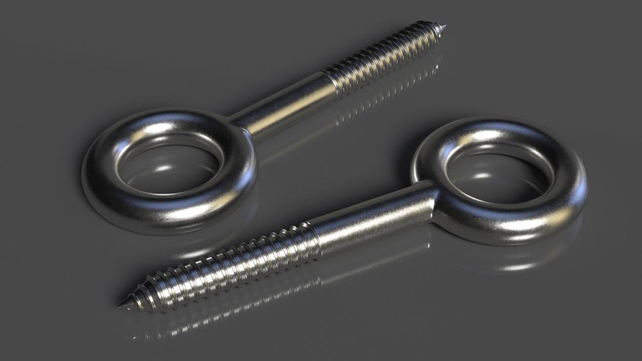 3D model Eye Lag Screw 2