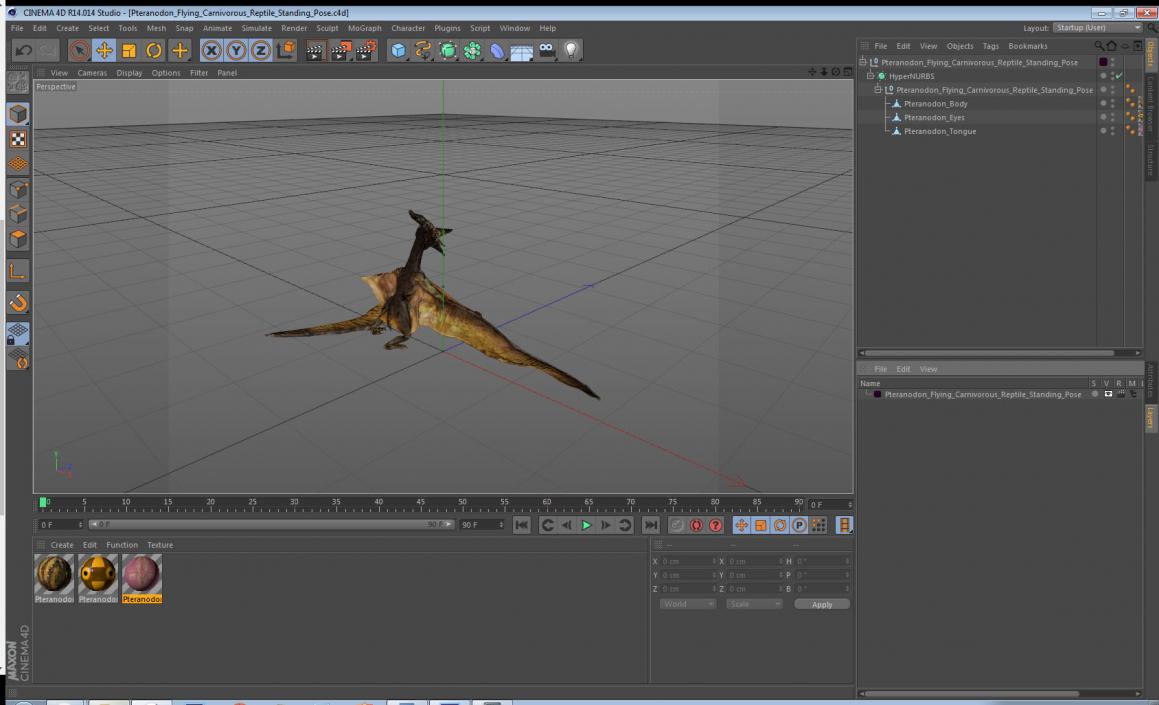 3D Pteranodon Flying Carnivorous Reptile Standing Pose