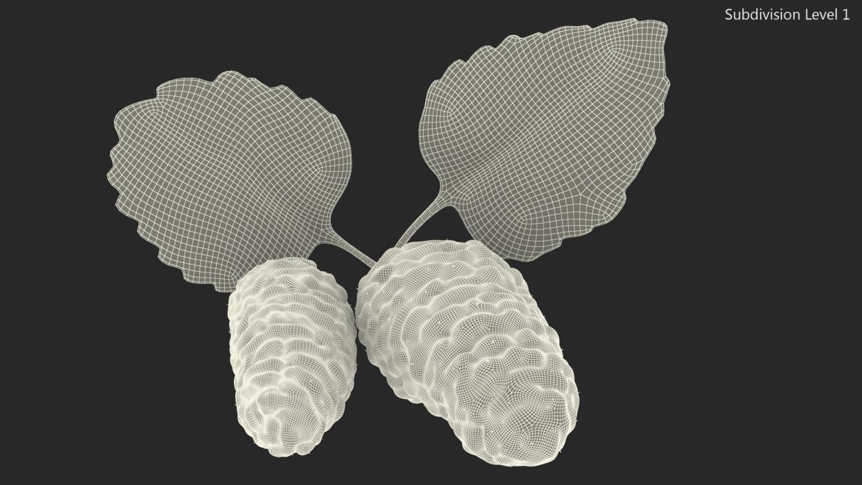 Mulberry Fruit White with Leaves 3D