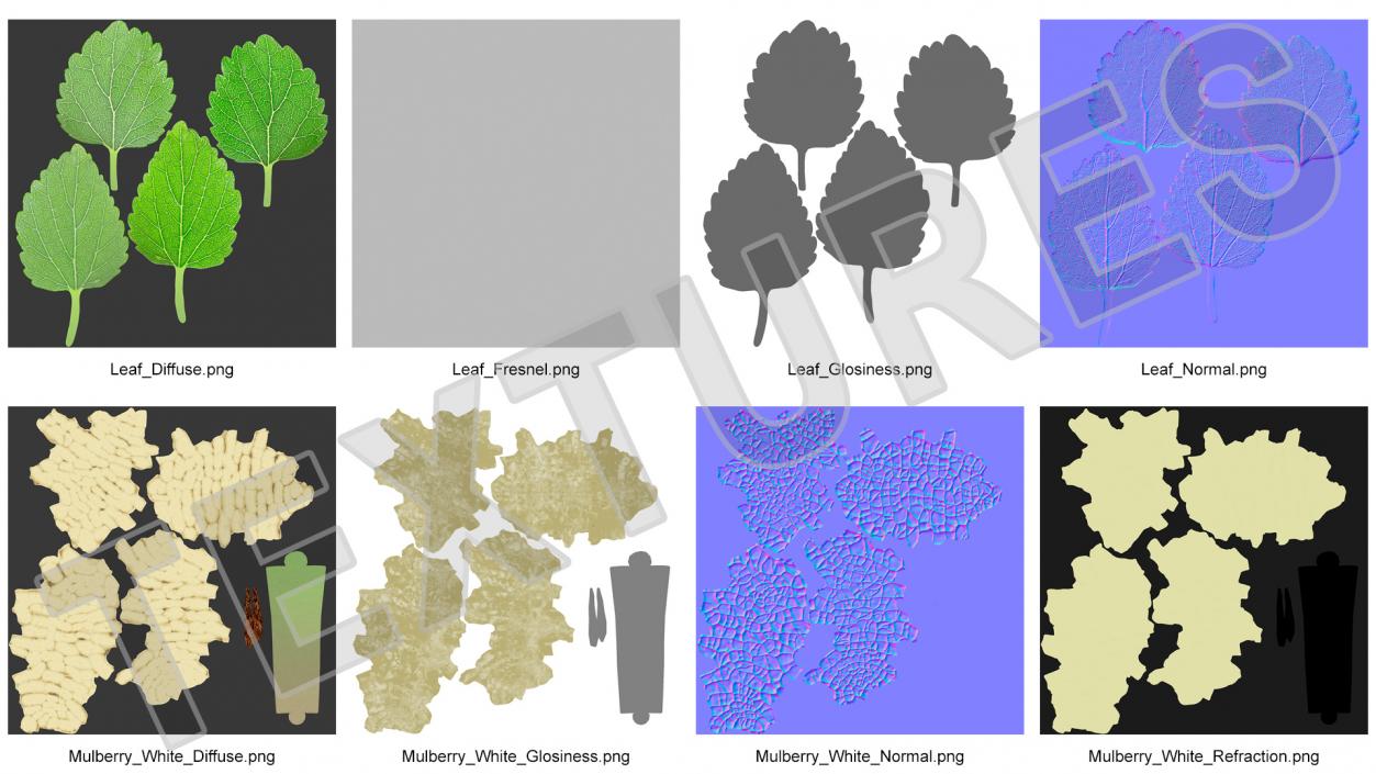 Mulberry Fruit White with Leaves 3D