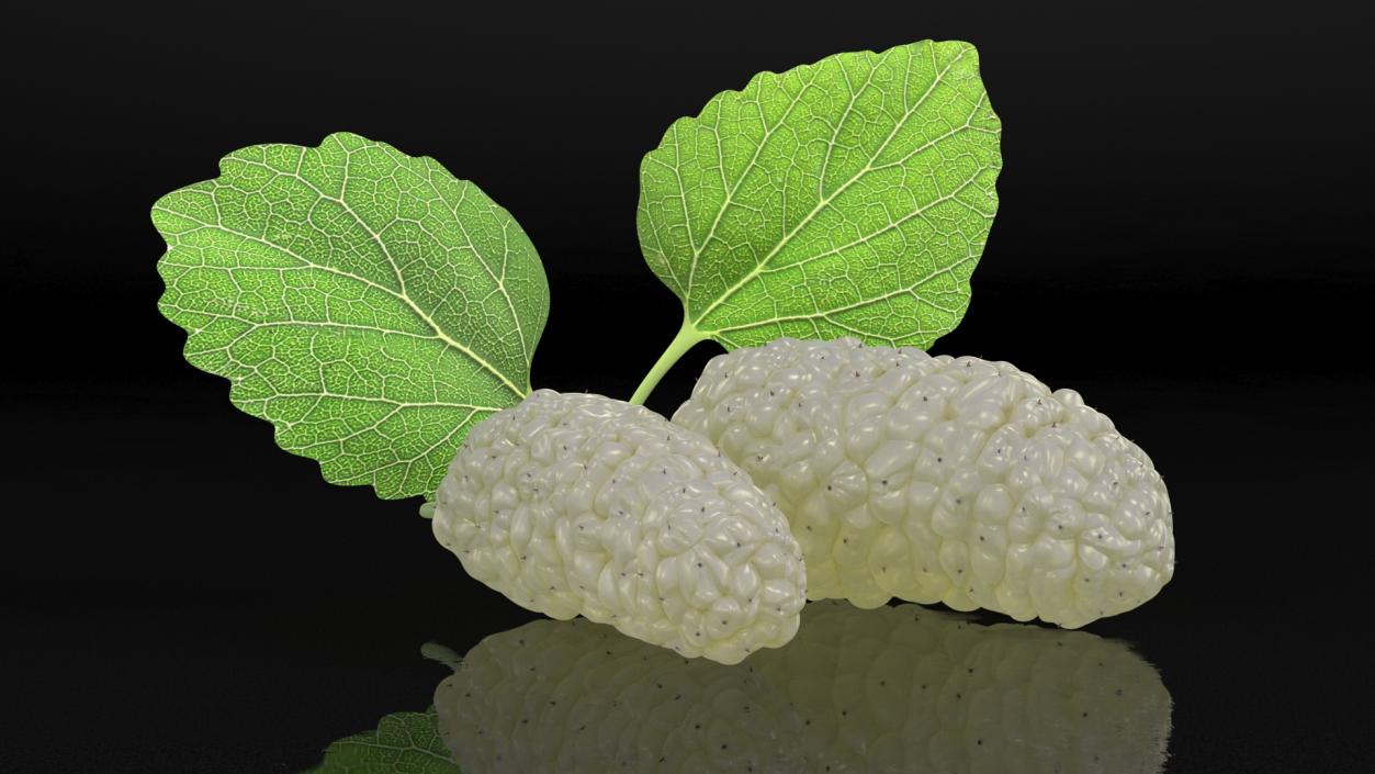 Mulberry Fruit White with Leaves 3D