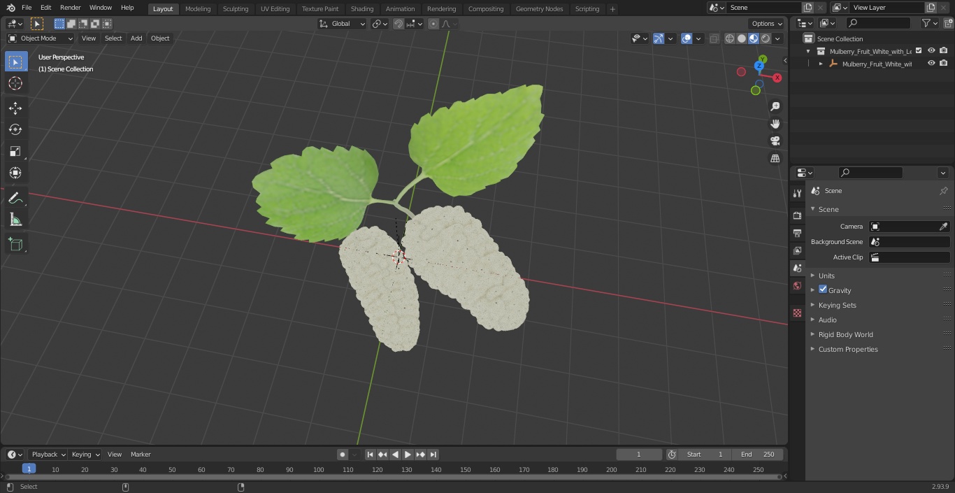 Mulberry Fruit White with Leaves 3D