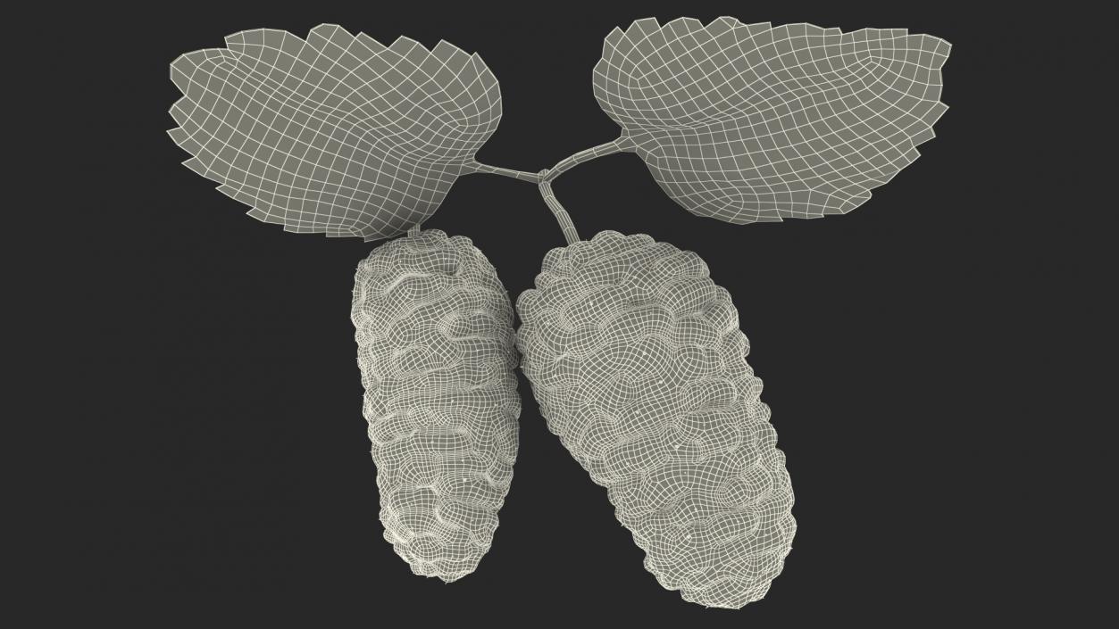 Mulberry Fruit White with Leaves 3D