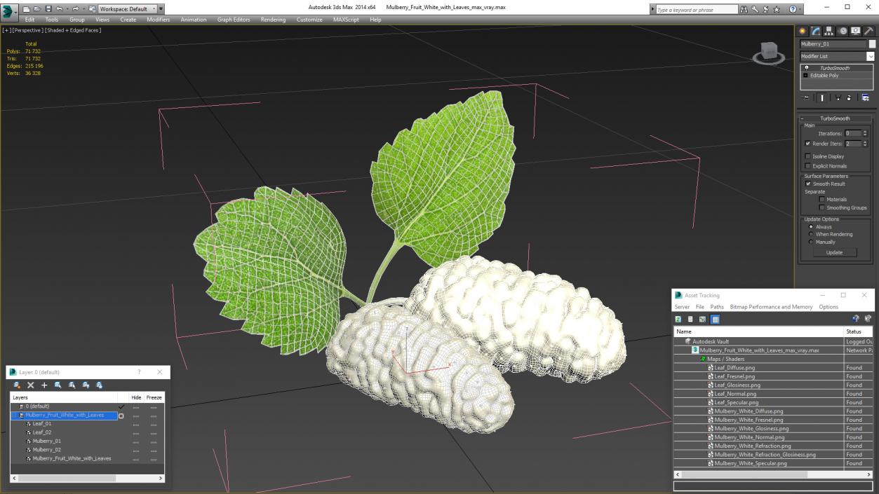 Mulberry Fruit White with Leaves 3D