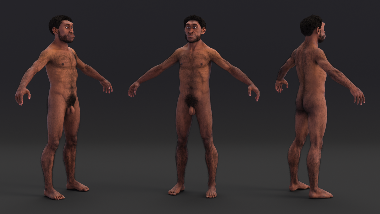 3D Homo Erectus Fur Rigged model