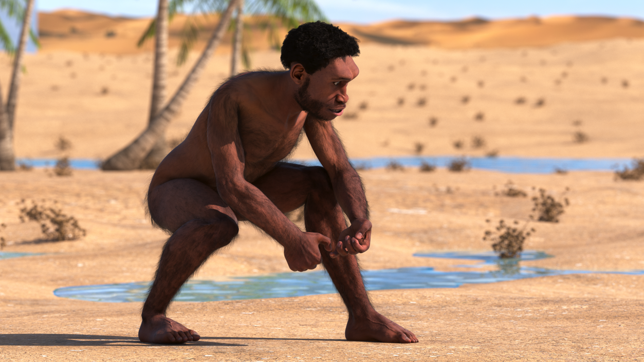 3D Homo Erectus Fur Rigged model