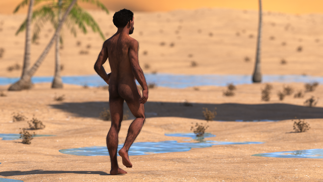 3D Homo Erectus Fur Rigged model