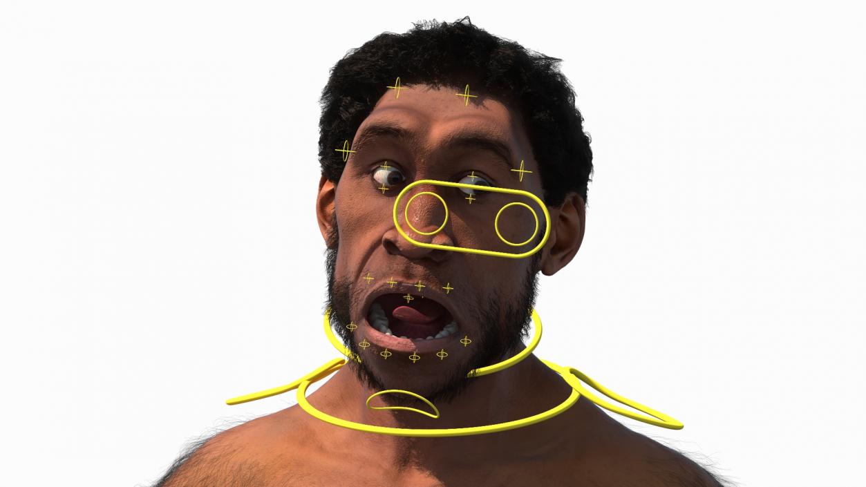 3D Homo Erectus Fur Rigged model