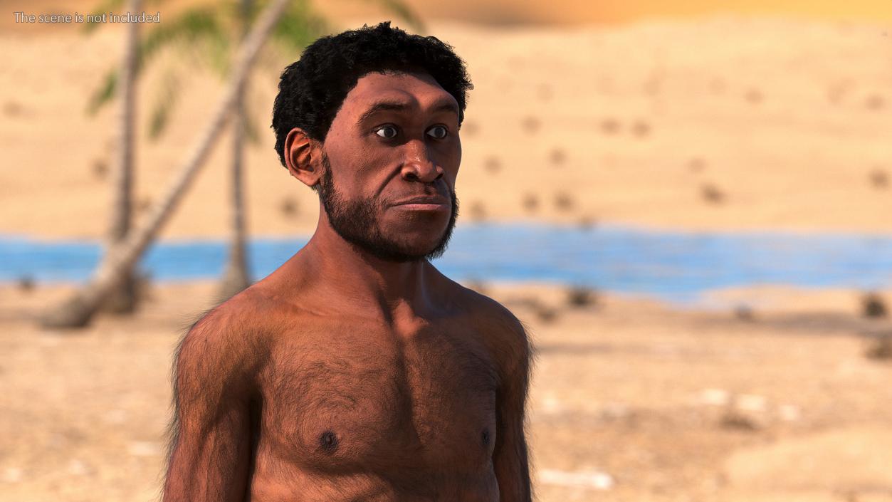 3D Homo Erectus Fur Rigged model