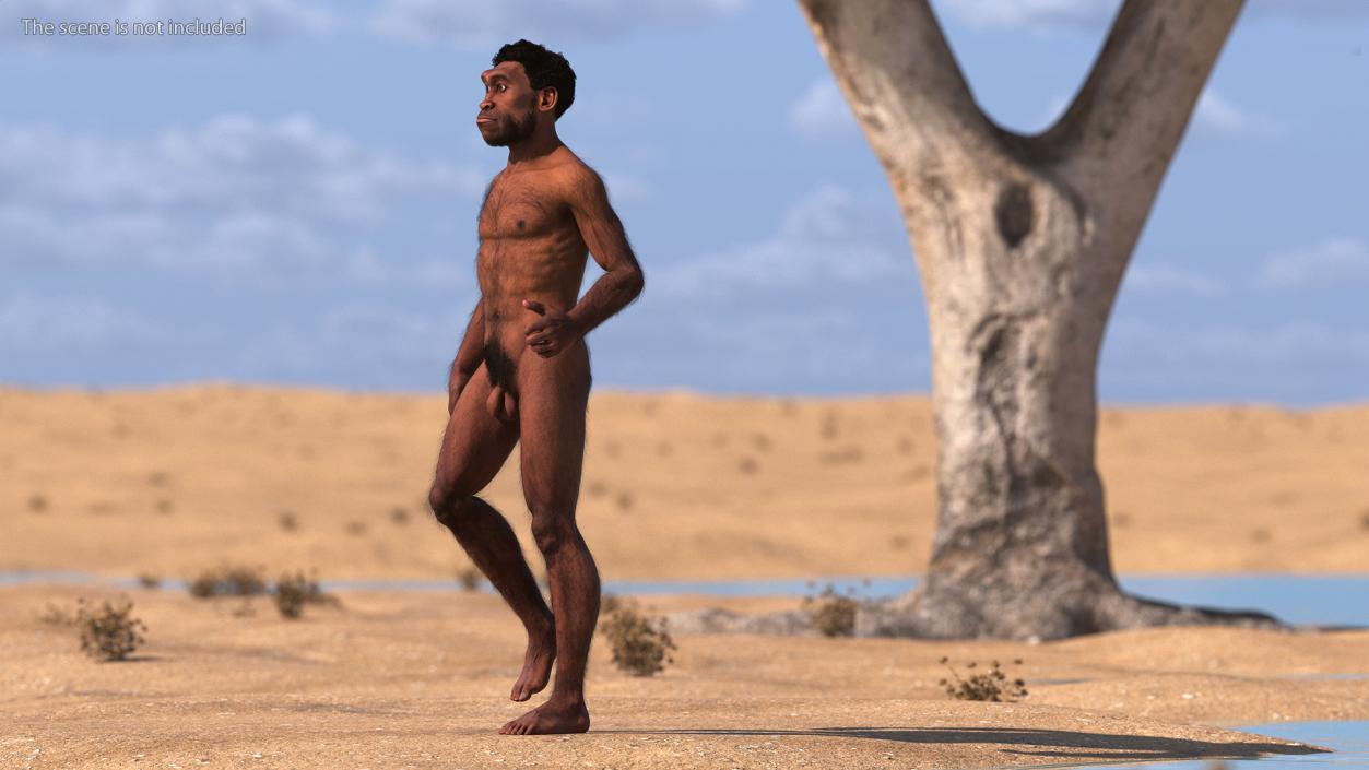 3D Homo Erectus Fur Rigged model