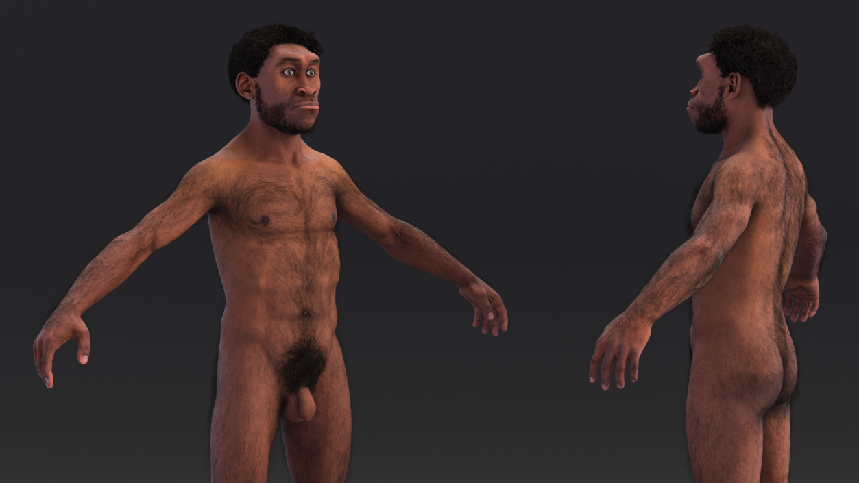 3D Homo Erectus Fur Rigged model