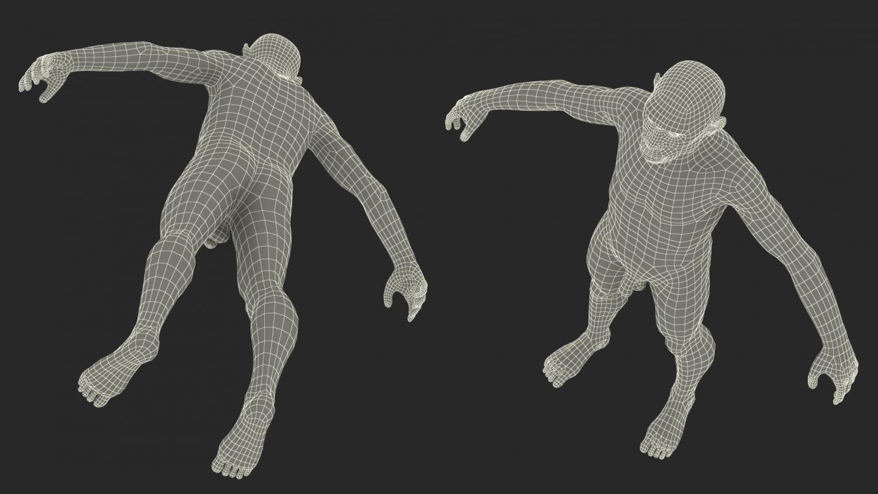 3D Homo Erectus Fur Rigged model