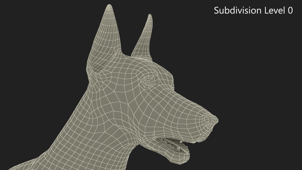 3D Doberman Dog Brown Rigged for Maya 2