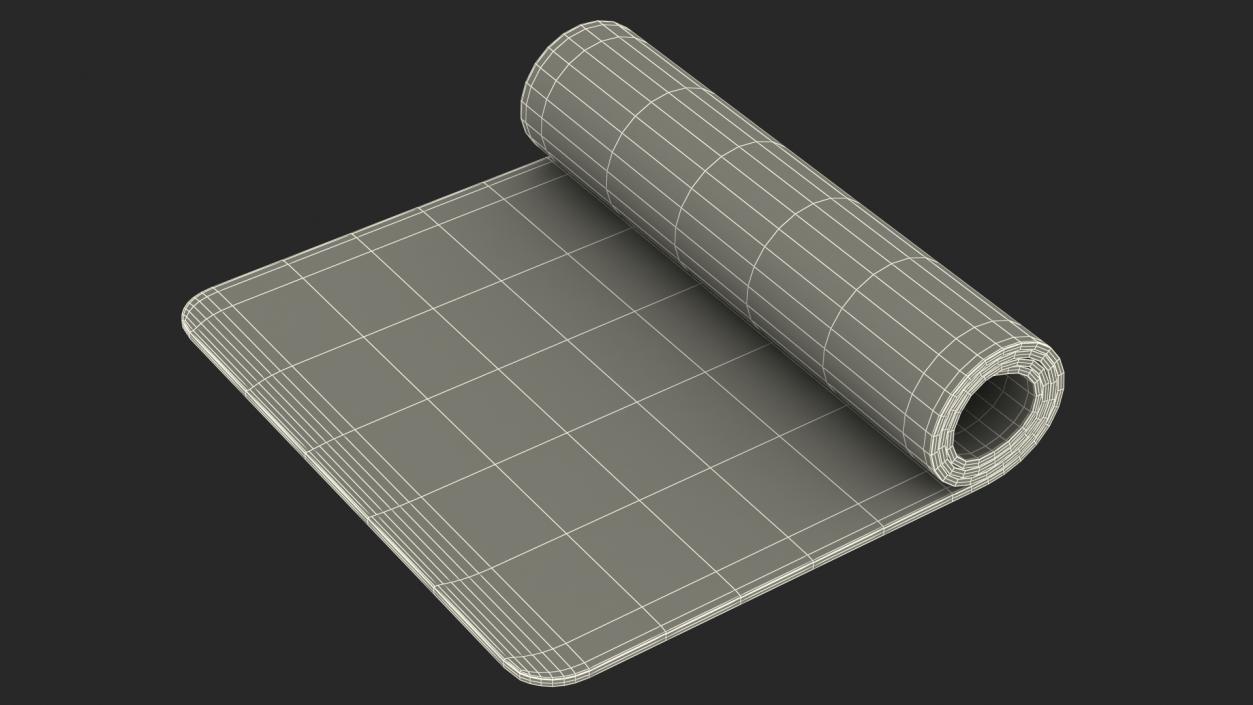 3D model Yoga Mat Rolled Pink