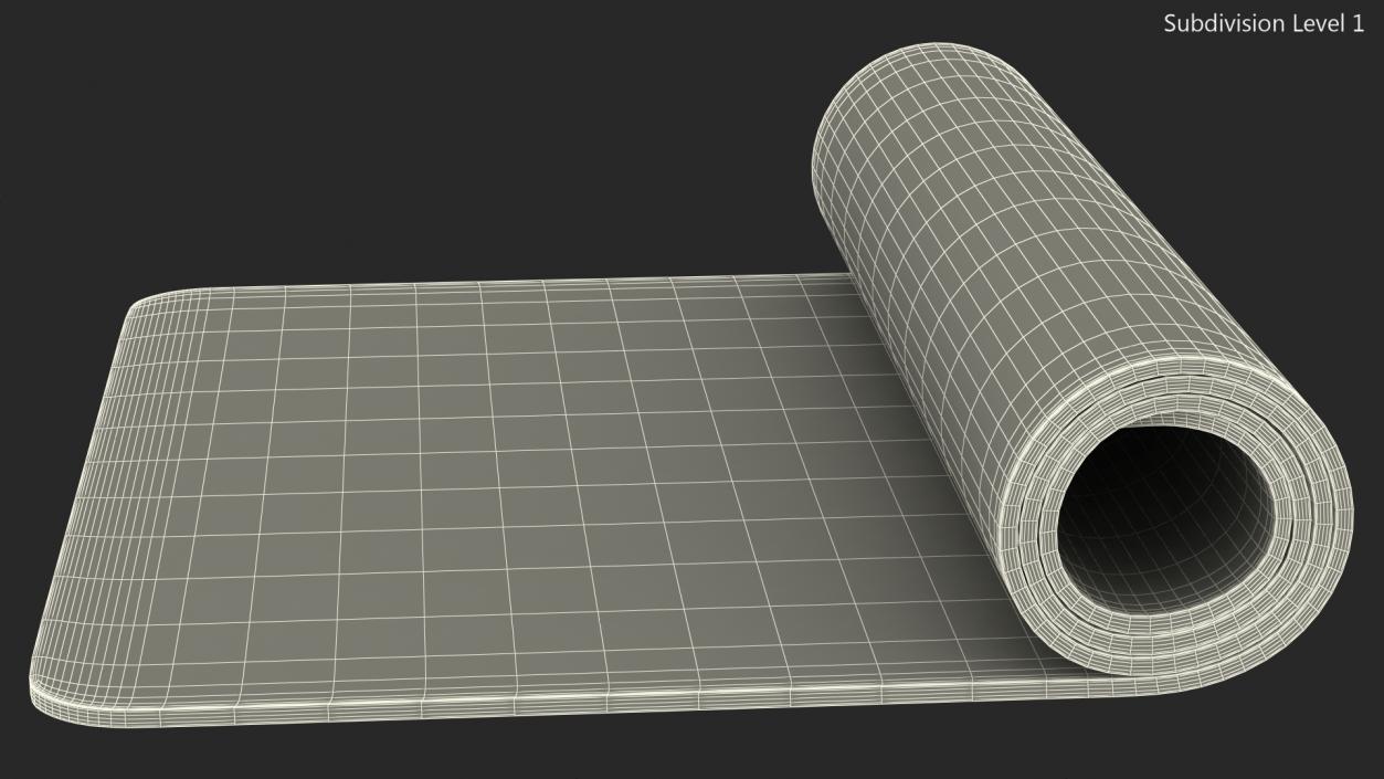 3D model Yoga Mat Rolled Pink