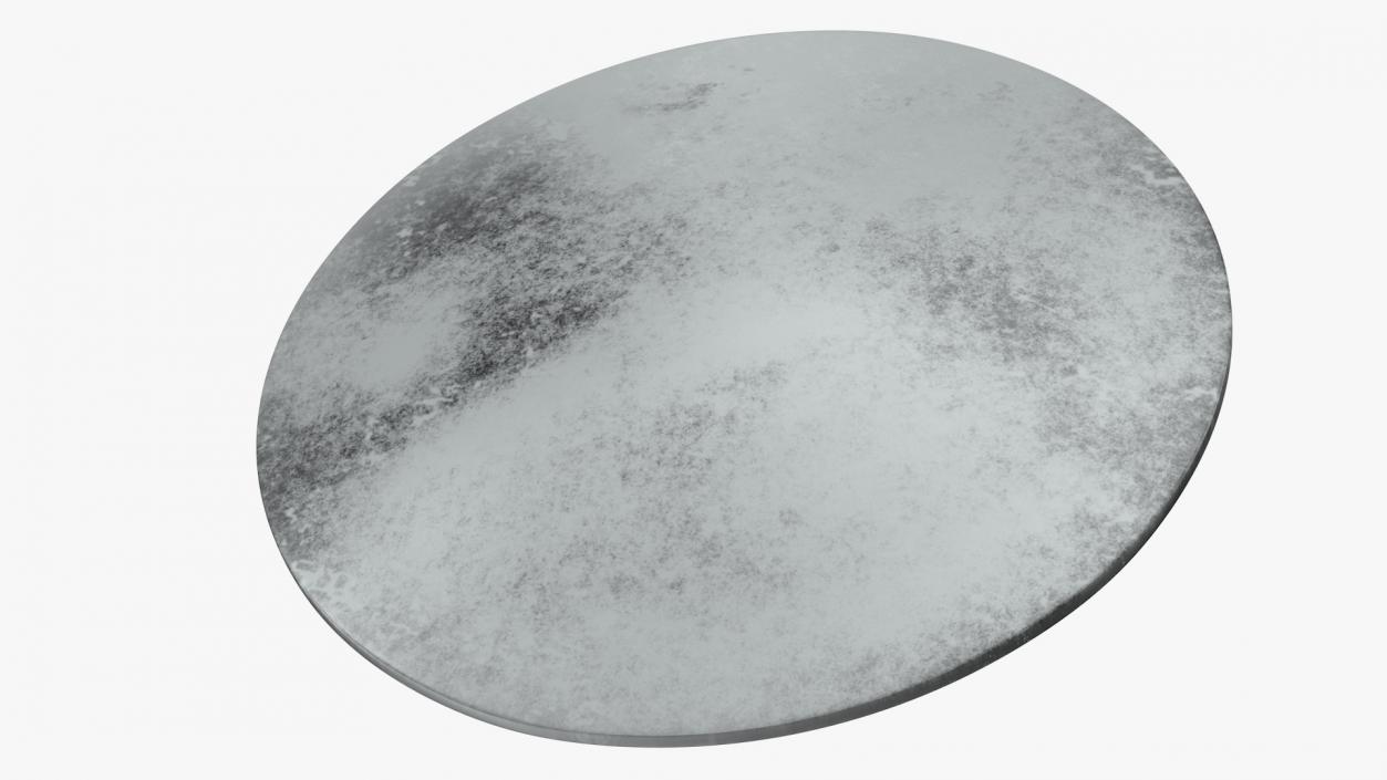 3D Round Metal Shield model