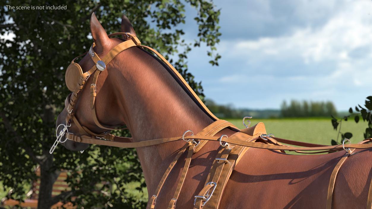 Horse Drawn Leather Driving Harness Rigged 3D