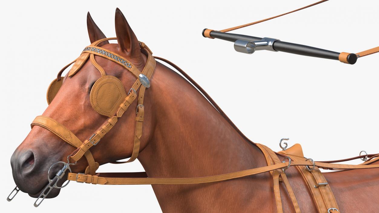 Horse Drawn Leather Driving Harness Rigged 3D